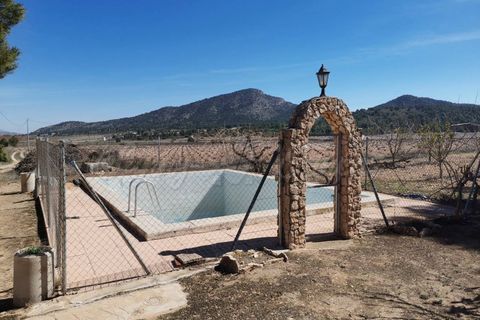Landejendom i Yecla, Murcia, Yecla - € 219.000 | Ref: SF0531 - foto 16